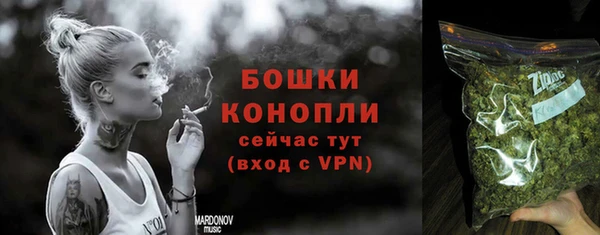 шишки Касимов