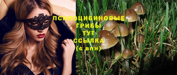 шишки Касимов