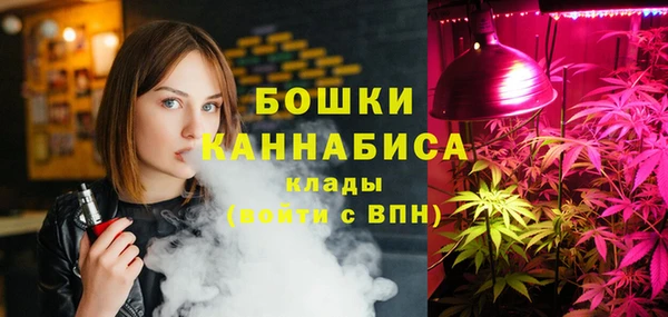 шишки Касимов
